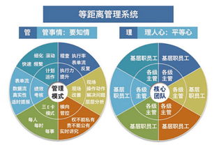 溫州企業管理咨詢 為何朗歐是您駐廠咨詢的卓越之選？